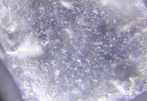 Paraben Free