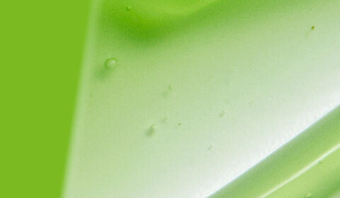 A smooth, slightly glossy surface with a gradient blend of light green and white tones.