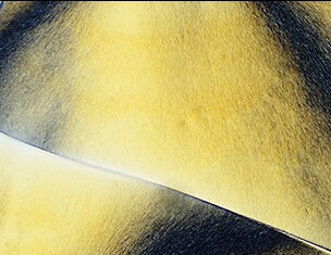 Close-up of smooth, vibrant yellow and black surfaces, showcasing subtle textures and curves.