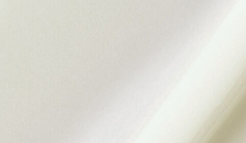 Abstract image featuring soft, flowing lines in a light cream color against a pale background, creating a subtle and harmonious texture.