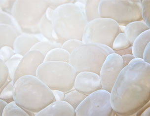 Weiße Kieselsteine liegen eng beieinander auf einer hellen Oberflache, sanft beleuchtet.