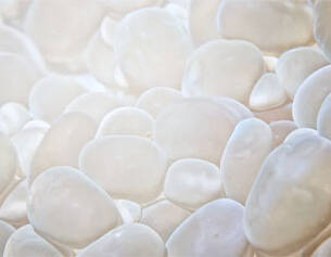 Weiße Kieselsteine liegen eng beieinander auf einer hellen Oberflache, sanft beleuchtet.