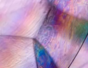 Close-up of iridescent, colorful patterns resembling butterfly wings, showcasing vibrant hues and fluid designs.