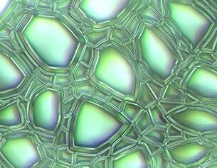 Farbige, transparente Blasen mit irideszenten Oberflachen und einem komplexen, netzartigen Muster.