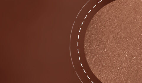 A close-up image featuring a smooth, shimmering brown surface with a circular section highlighted. The background has a warm, soft focus.