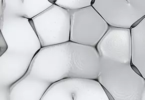 Paraben Free